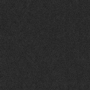 8204_5_additional image_new.jpg image